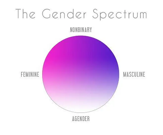 The gender spectrum explained