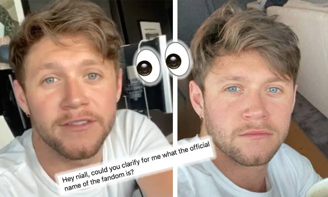 Niall Horan doesn't think his fandom have a name