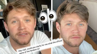 Niall Horan doesn't think his fandom have a name