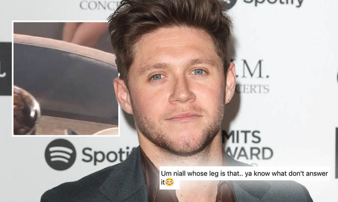 Niall Horan's Instagram Story had fans asking about the legs in the background