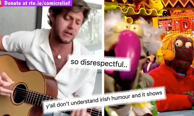 Niall Horan fans defend singer after show says they 'wanted Harry Styles'