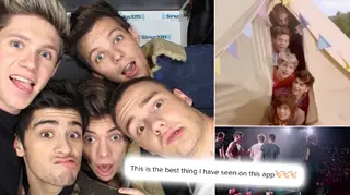 A mock-up of what One Direction's reunion tour would look like has made its way on to TikTok
