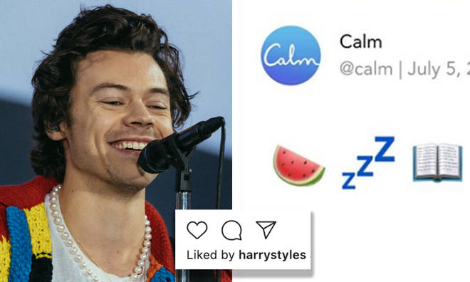 Harry Styles teaming up with Calm app to read a bedtime story