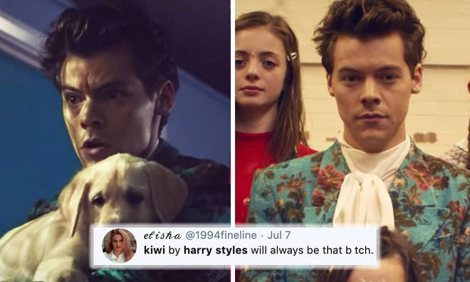 Harry Styles's song Kiwi has always had fans wondering who it is about