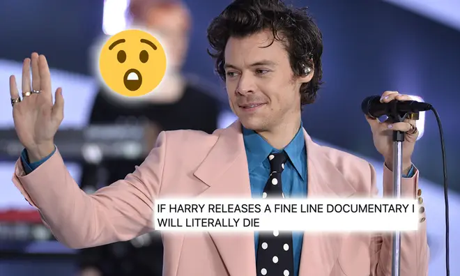 Harry Styles could have a documentary about his 'Fine Line' album on the way.