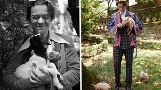 Harry Styles Gucci 2019 Shoot Features Farm Animals