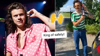 Harry Styles fans have been applauding the star for taking caution when travelling