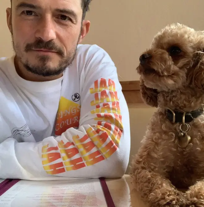 Orlando Bloom is devastated over the death of his beloved dog, Mighty.
