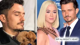 Katy Perry and Orlando Bloom's dog went missing last week.