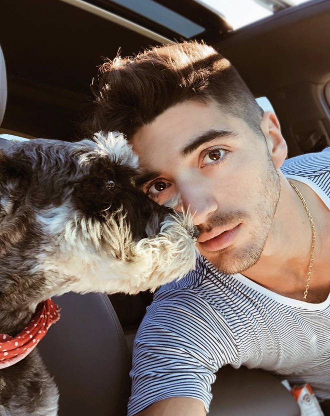 Taylor Zakhar Perez frequently posts snaps of his pet dog