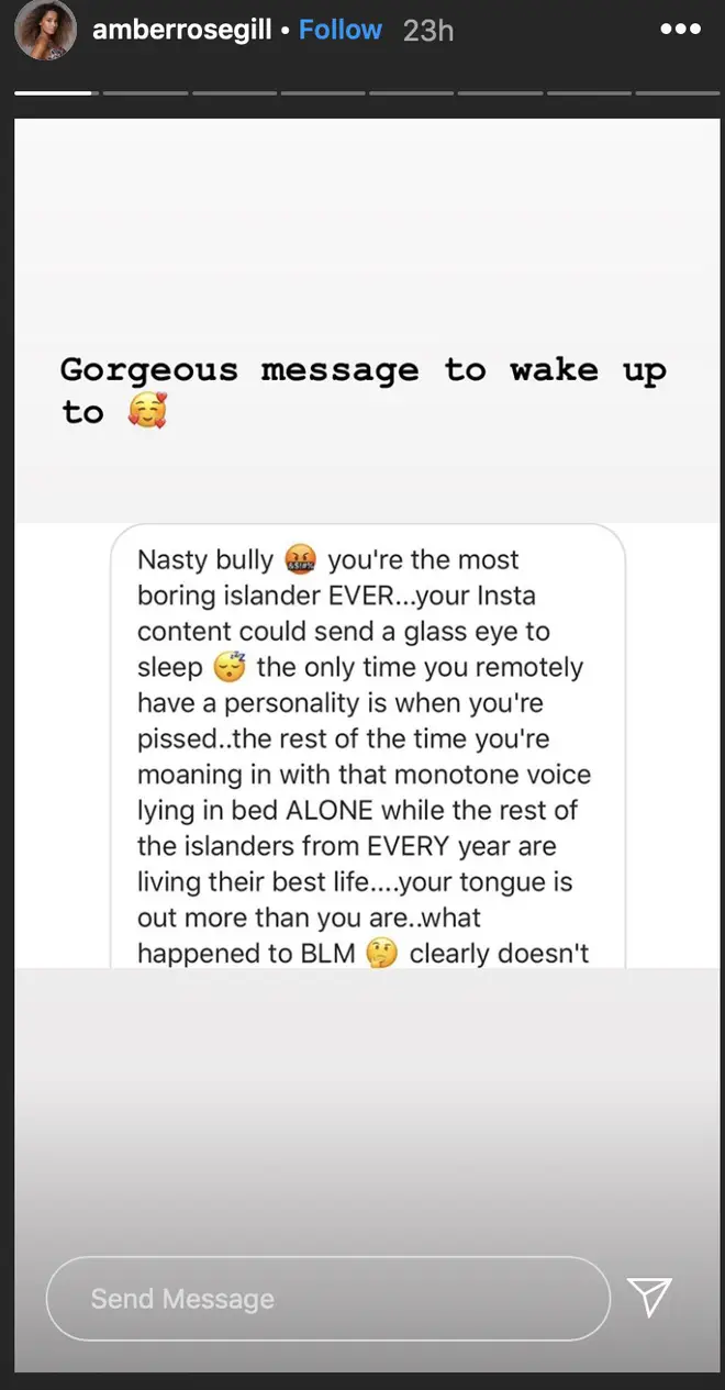 Amber Gill shared a screenshot of the troll's nasty message