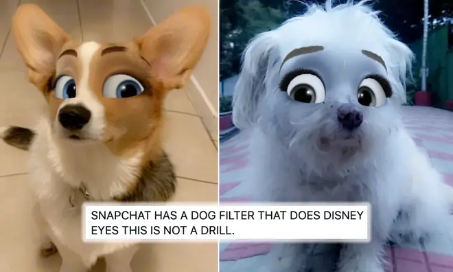This 'Disney' Snapchat filter has arrived to transform your dogs