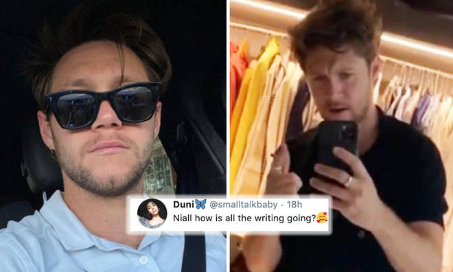Niall Horan's brutally honest reply about his songwriting