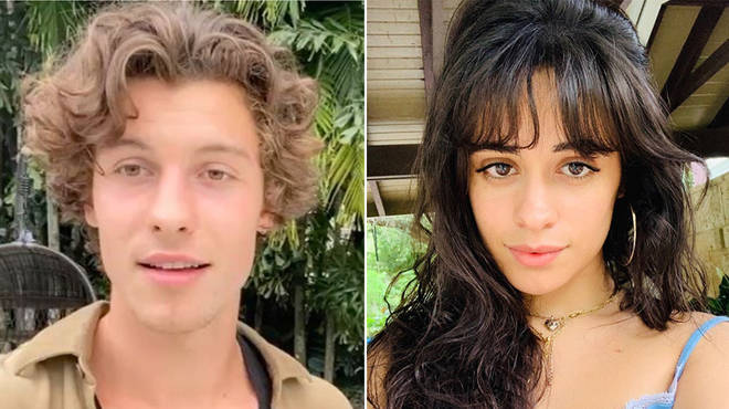 Shawn Mendes and Camila Cabello fans are positive they're still together