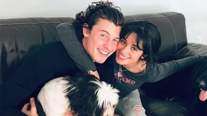 Shawn Mendes and Camila Cabello quarantined together in Miami