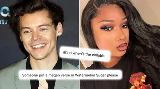 Harry Styles and Megan Thee Stallion now follow each other on social media