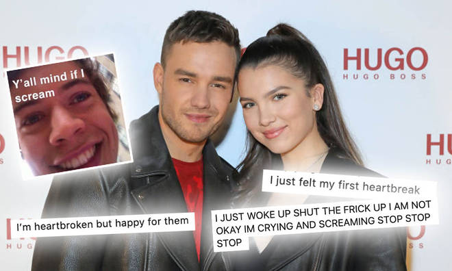 Liam Payne's engagement news sparked some hilarious reactions from fans