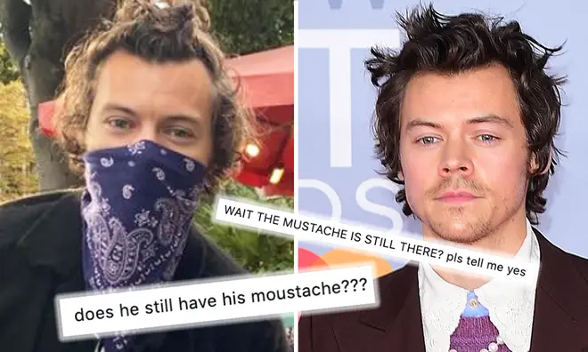 Harry Styles spotted with top knot but where is his moustache?
