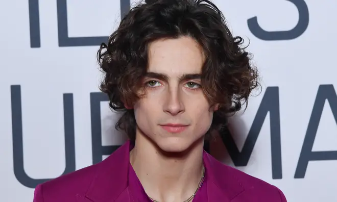 Timothée Chalamet has a busy few years of films ahead