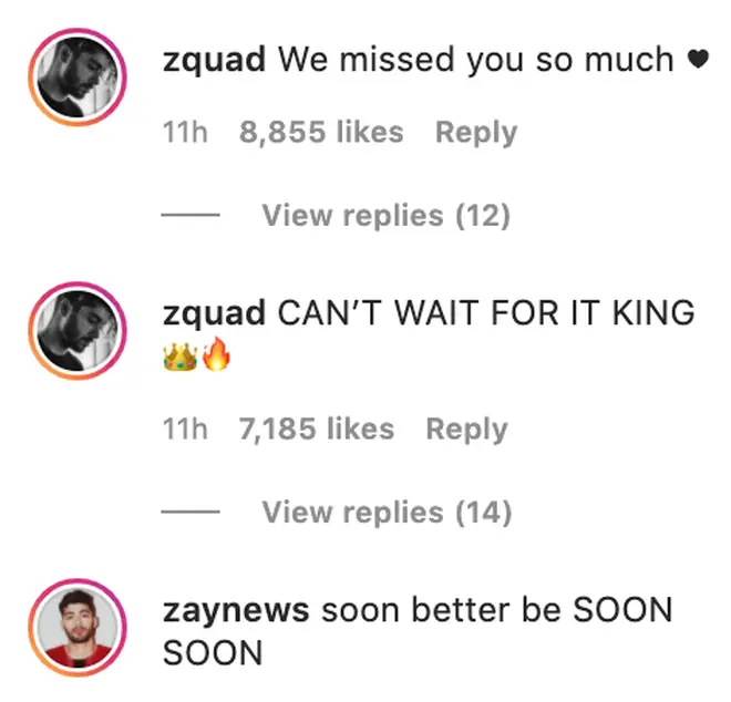 Zayn fans are over the moon with his latest announcement