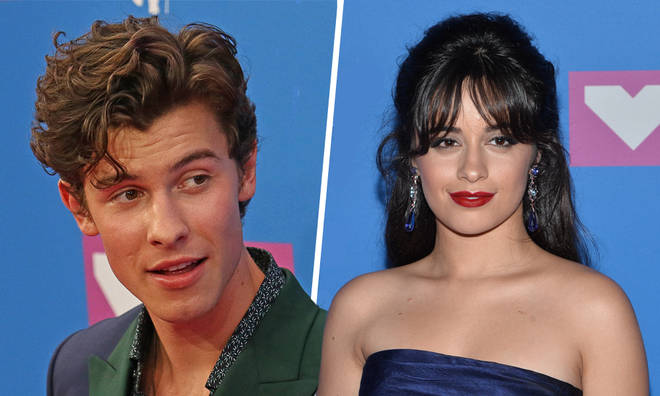 Shawn Mendes and Camila Cabello fans shared their support for the stars
