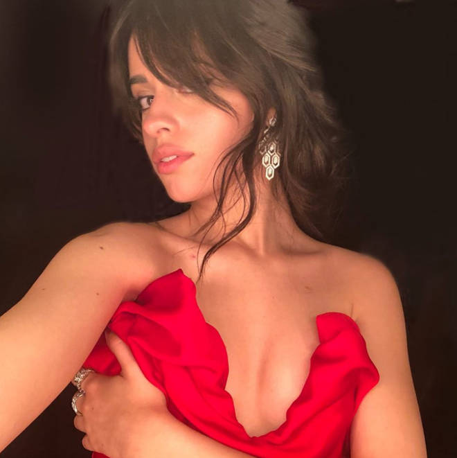 Camila Cabello is giving five fans secret roses allowing them to meet her backstage at shows