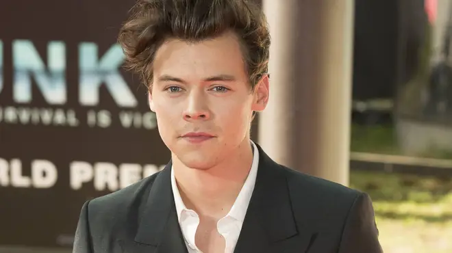 Harry Styles has landed some big film roles