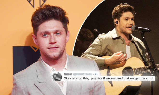 Niall Horan promised he'll strip if streams of his latest album triple in four months