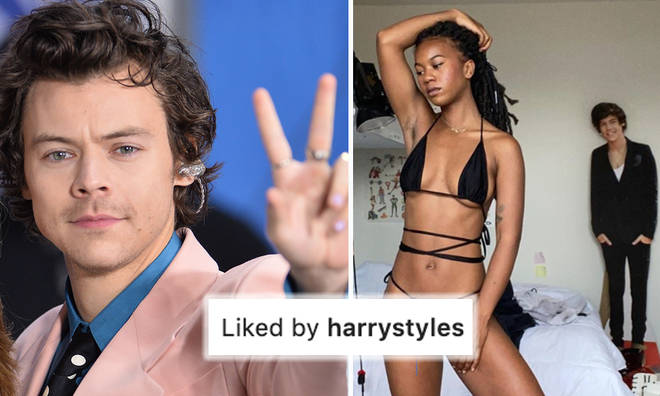 Harry Styles likes photo of model with cardboard cutout of himself in background