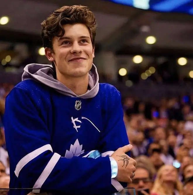 Shawn Mendes watches a hockey game