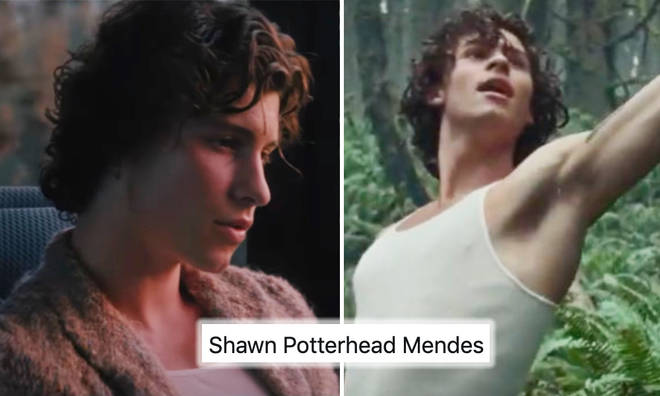 Shawn Mendes references 'Harry Potter' in his music video for 'Wonder'