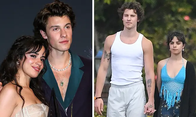 Camila Cabello and Shawn Mendes are still very much together in 2020