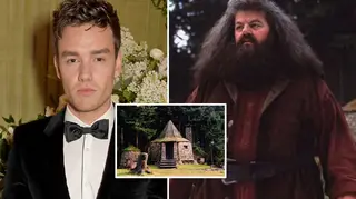 Liam Payne admitted he's a huge Harry Potter fan