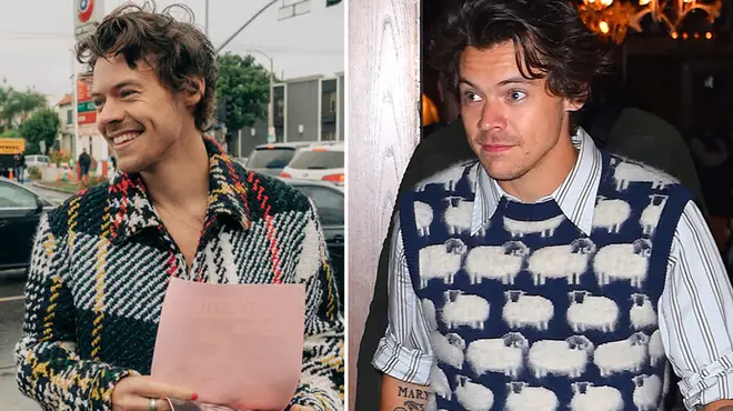 Harry Styles was spotted at dinner with a female pal in LA