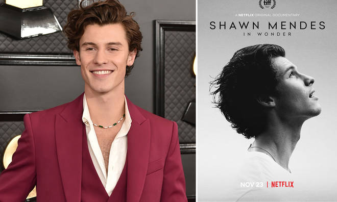 Shawn Mendes is releasing a Netflix documentary