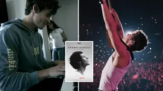 Shawn Mendes' documentary will be released on 23 November