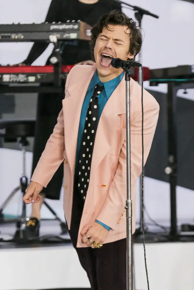 Harry Styles revealed he was 'drawn' the project.