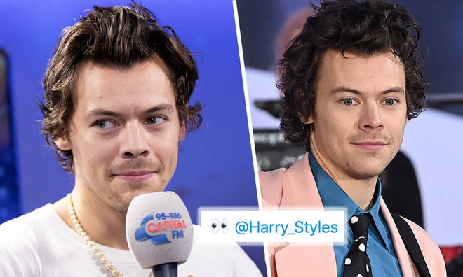 Harry Styles tagged in music teaser and fans are living