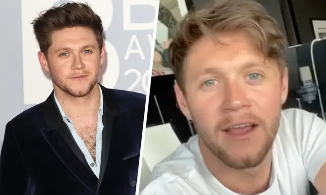 Niall Horan wishes he could vote in US election