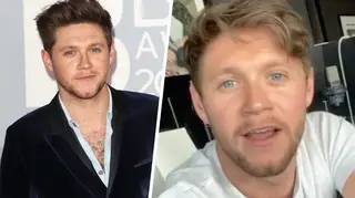 Niall Horan wishes he could vote in US election