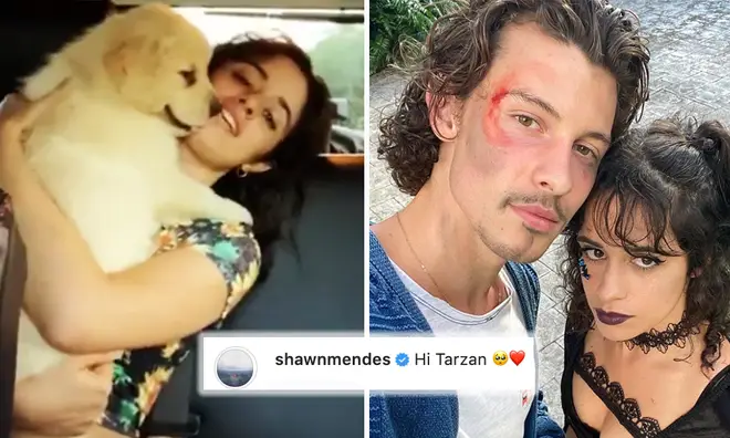 Shawn Mendes and Camila Cabello welcome dog 'Tarzan' to their family