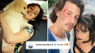 Shawn Mendes and Camila Cabello welcome dog 'Tarzan' to their family