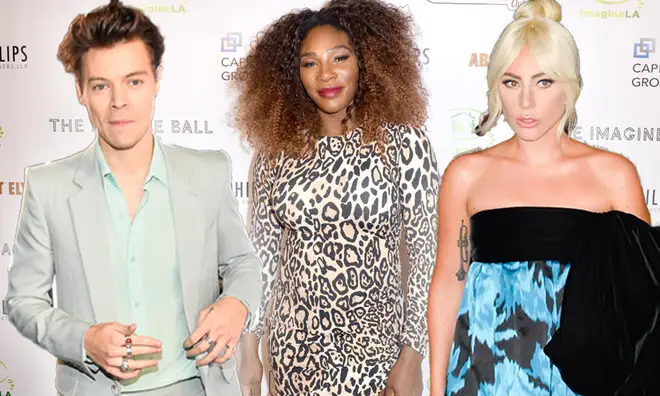 Harry Styles is chairing the 2019 Met Gala with Lady Gaga and Serena Williams
