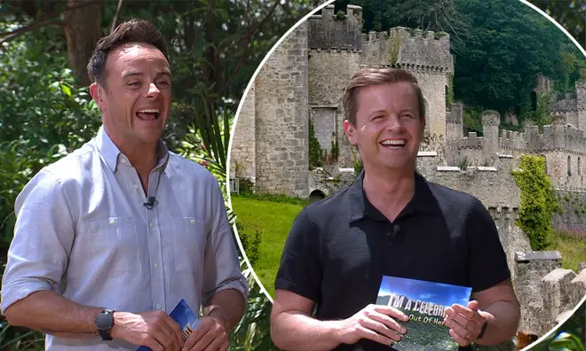 The I'm A Celeb castle is in North Wales