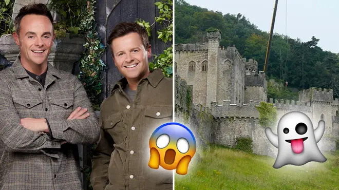 I'm A Celebrity 2020 will have some new Bushtucker Trials for its new castle location