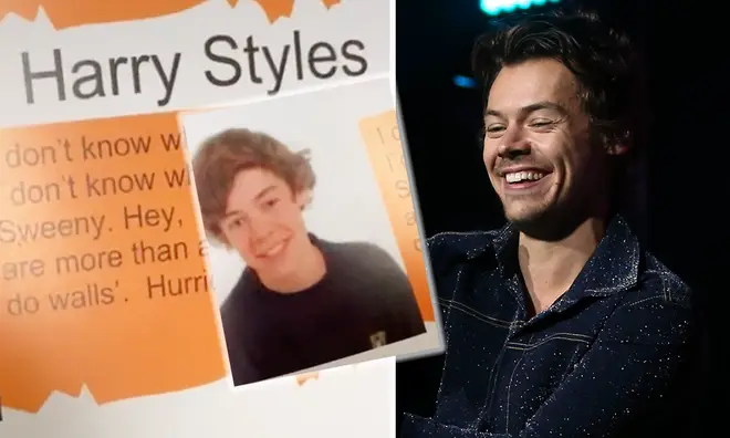Harry Styles's yearbook entry revealed on TikTok