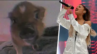 Ariana Grande has defend Piggy Smallz for appearing in her video