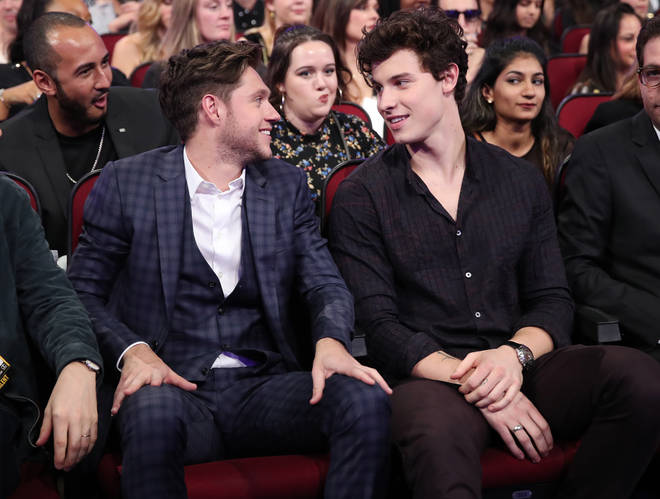 Niall Horan and Shawn Mendes seated at the 2017 AMAs