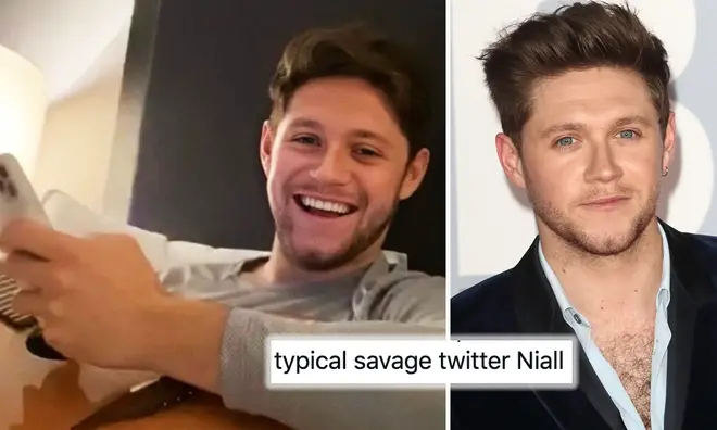 Niall Horan fans know he's a Twitter savage