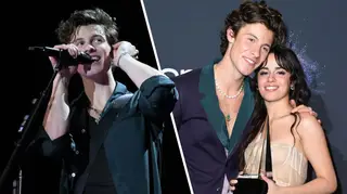 Shawn Mendes' 'Teach Me How To Love' lyrics are about Camila Cabello
